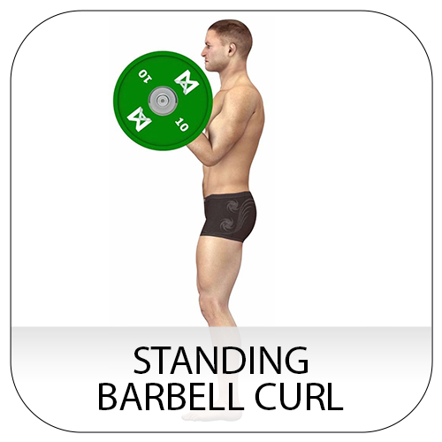 Standing barbell curl analysis